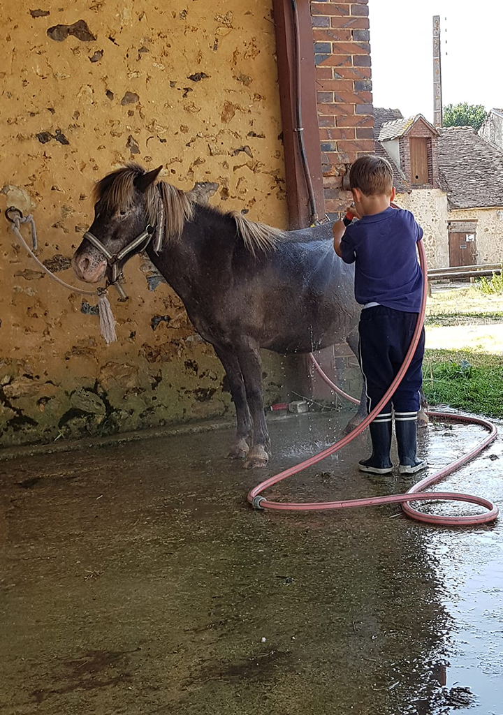 Enfant qui lave un poney