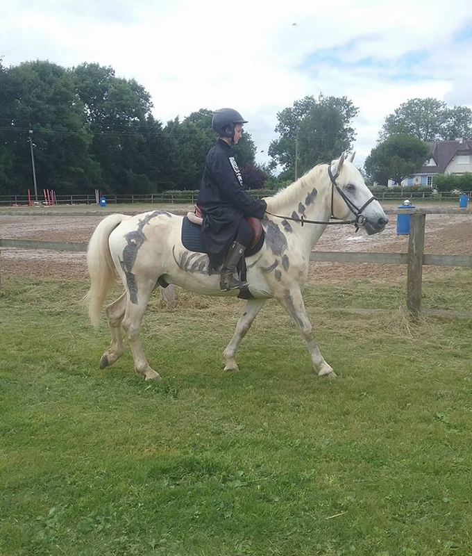 personne sur un cheval