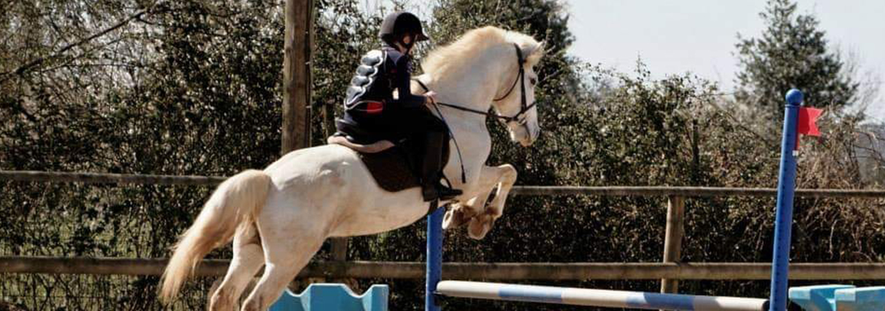 Cours d'équitation