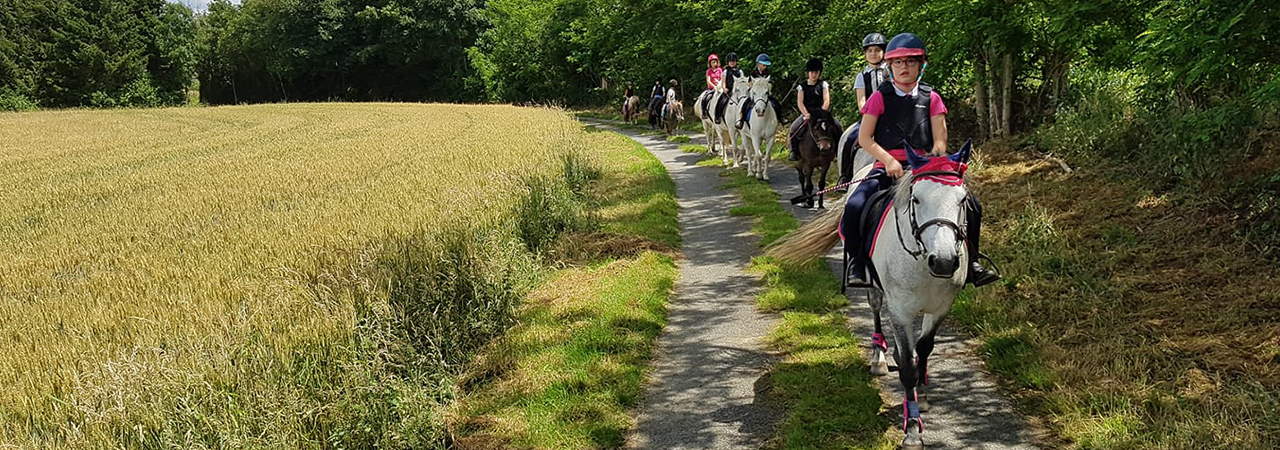 Pension chevaux