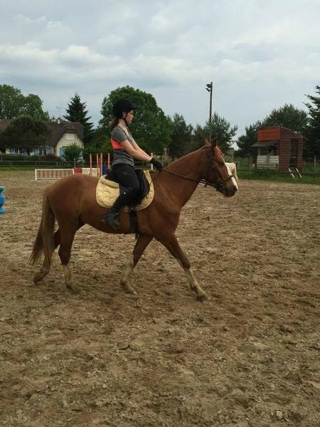 Cours d'équitation