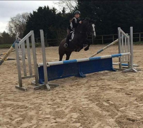 stage d'équitation, saut d'obstacles