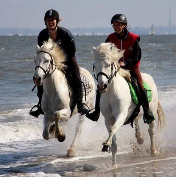 balade équestre sur la plage